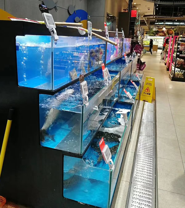 mmexport1561793945575.jpg mmexport1561793945575.jpg