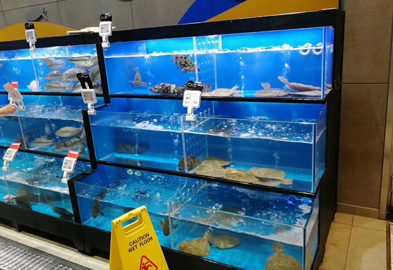 mmexport1561793955597.jpg mmexport1561793955597.jpg