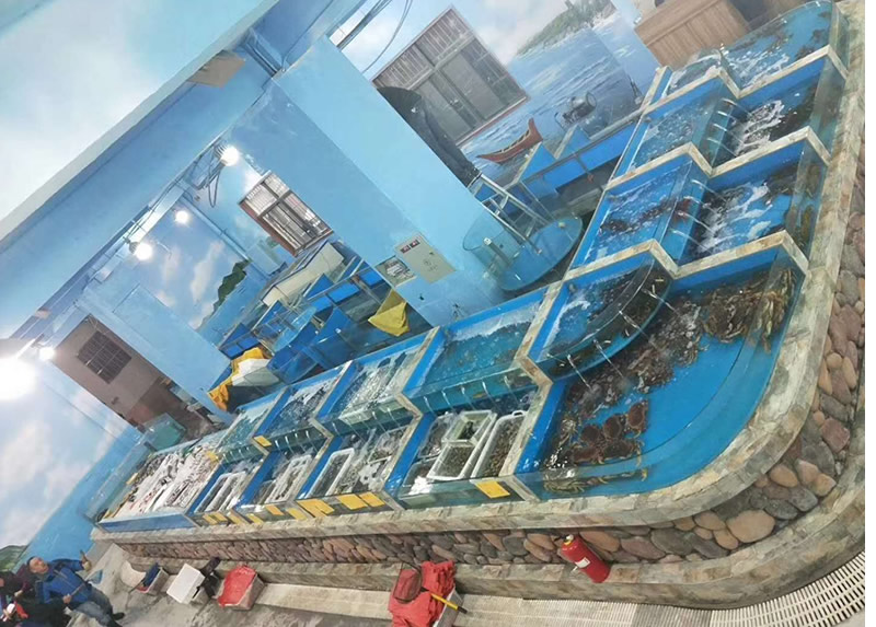 生活超市海鲜池6.jpg