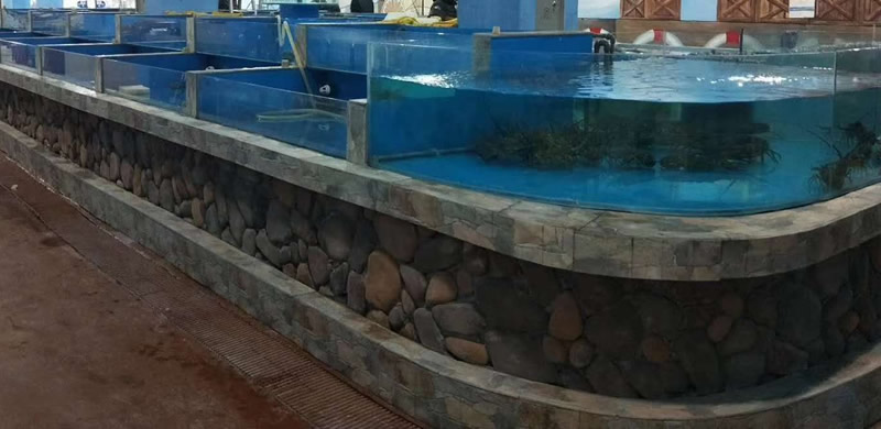生活超市海鲜池8.jpg