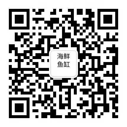 扫一扫关注