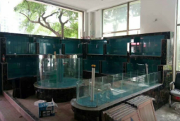 农庄淡水鱼池建造