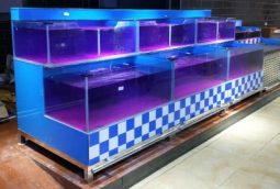 水产店活海鲜养殖鱼池定做