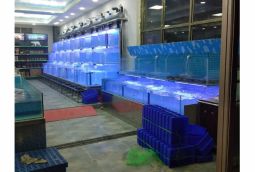 水产店活海鲜养殖鱼池定做