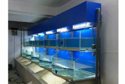 水产店活海鲜养殖鱼池定做