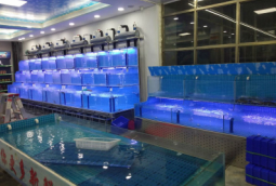 水产店活海鲜养殖鱼池定做