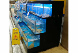 梯形玻璃海鲜鱼池定做