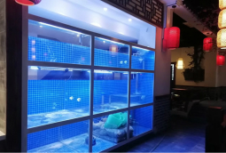 直型观赏海鲜鱼池定做