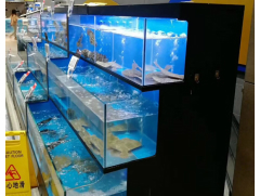 深圳海鲜池定做