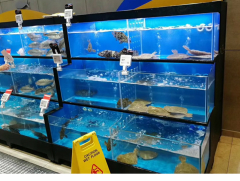 深圳海鲜池定做