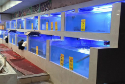 广州酒家定做海鲜池，东江海鲜酒楼海鲜池设计，酒店海鲜池造价